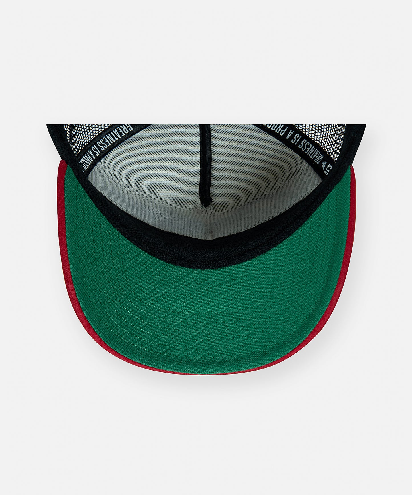 Genius Level Trucker Hat