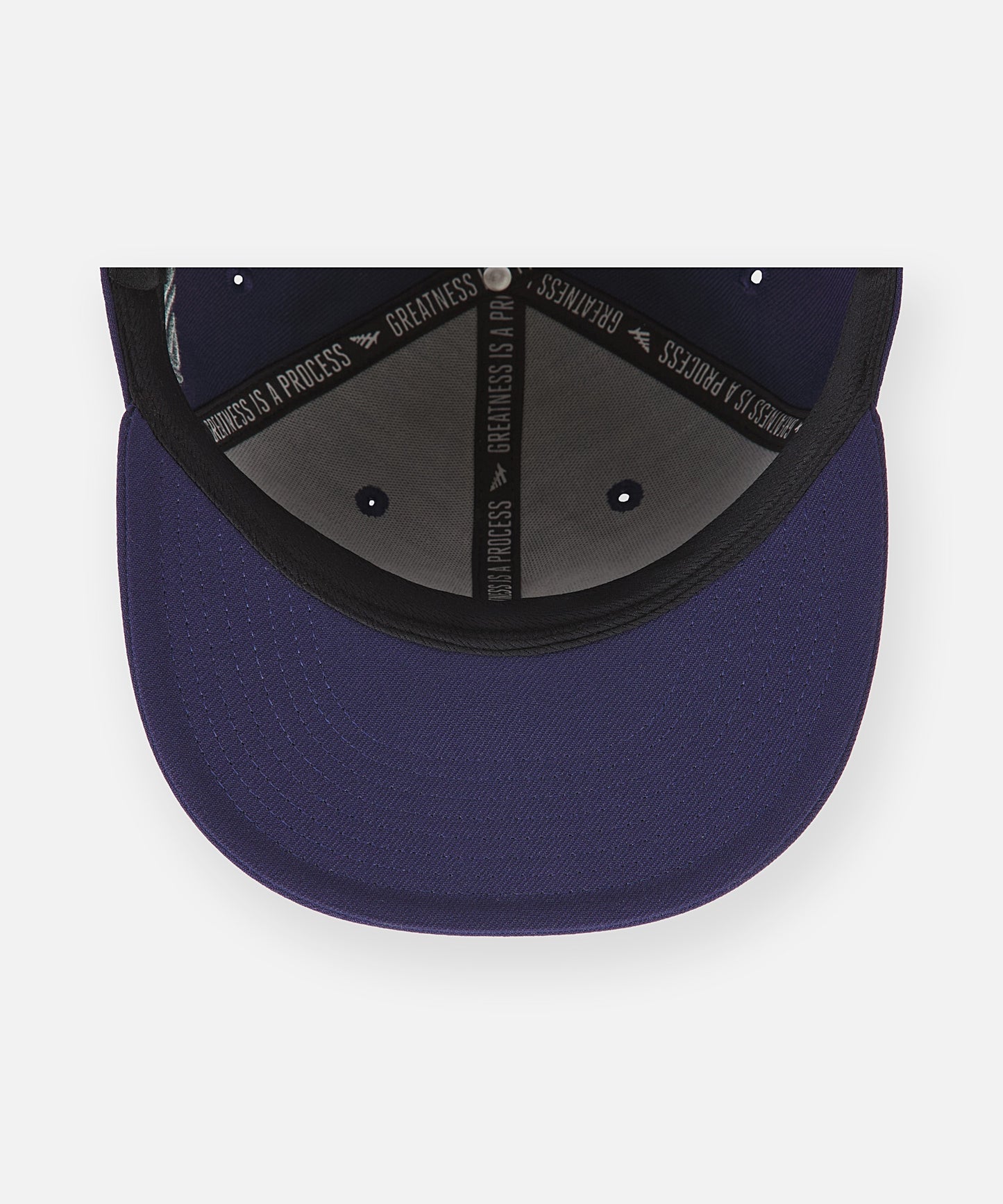 San Diego Snapback