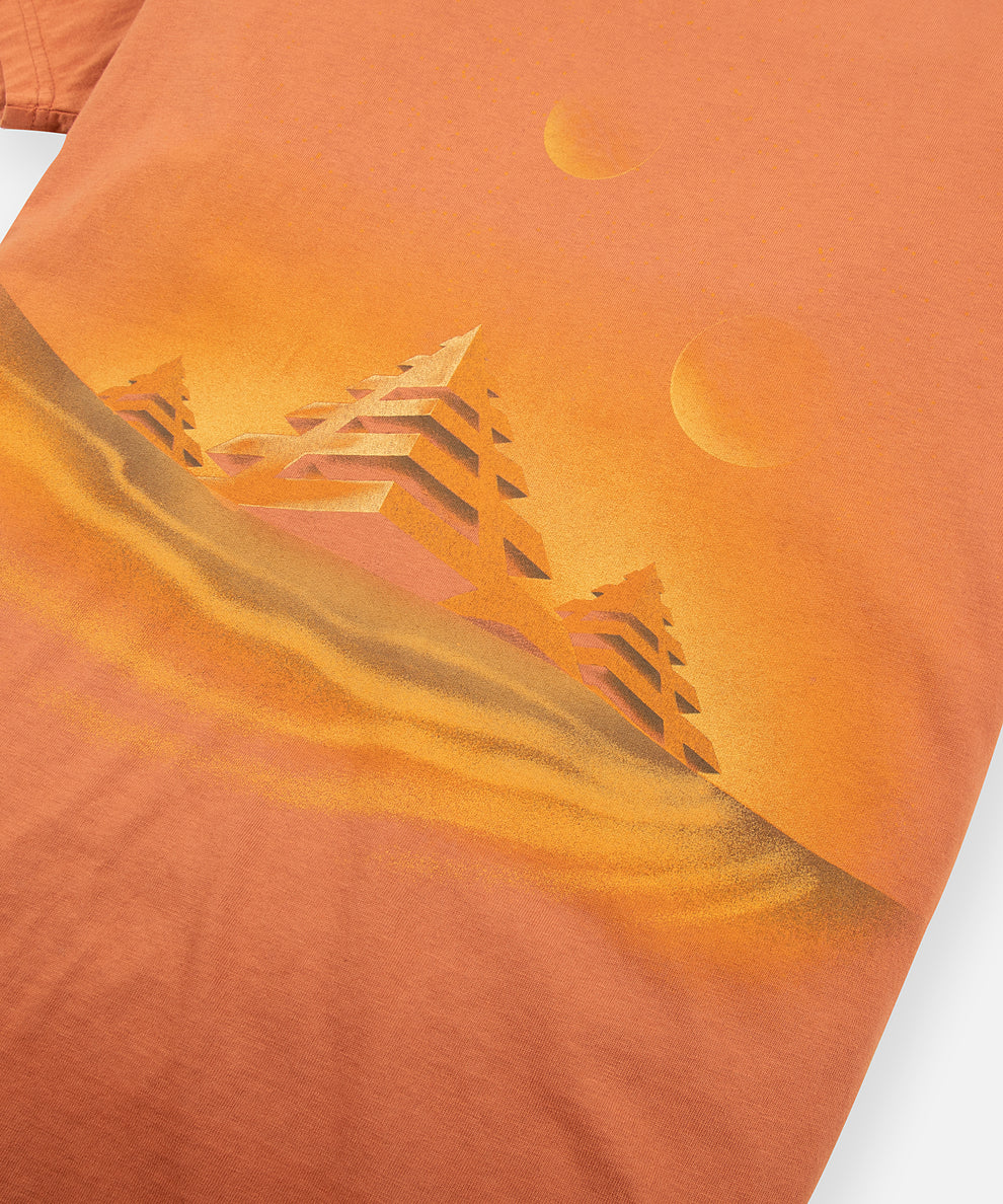 CUSTOM_ALT_TEXT: Print closeup on Paper Planes Valley of Kings Tee, color Ginger.