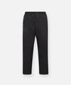 Planes Double-Faced Knit Trouser Pant