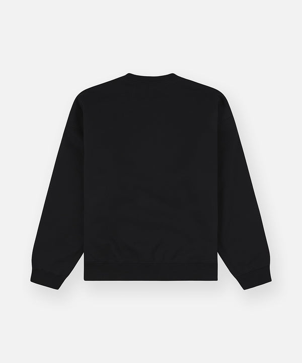 Planes Collegiate Crewneck