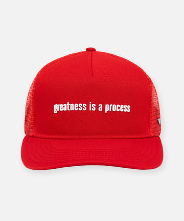 Greatness Is A Process Trucker