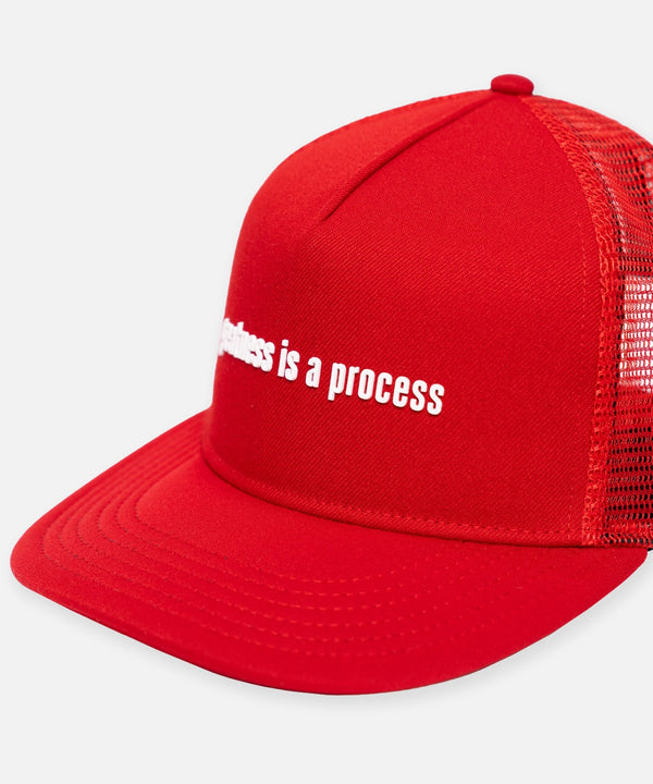 Greatness Is A Process Trucker