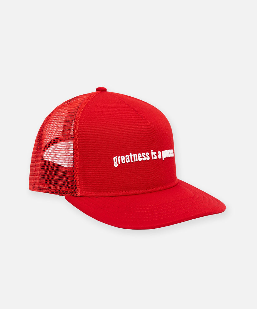 Greatness Is A Process Trucker