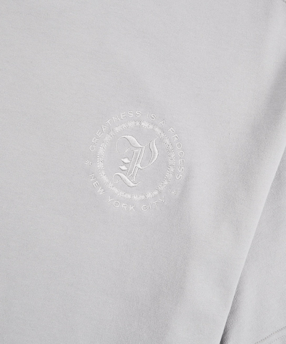 Planes Terry Washed Tee