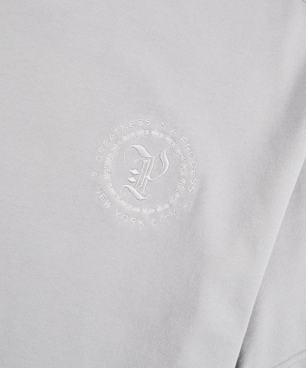 Planes Terry Washed Tee