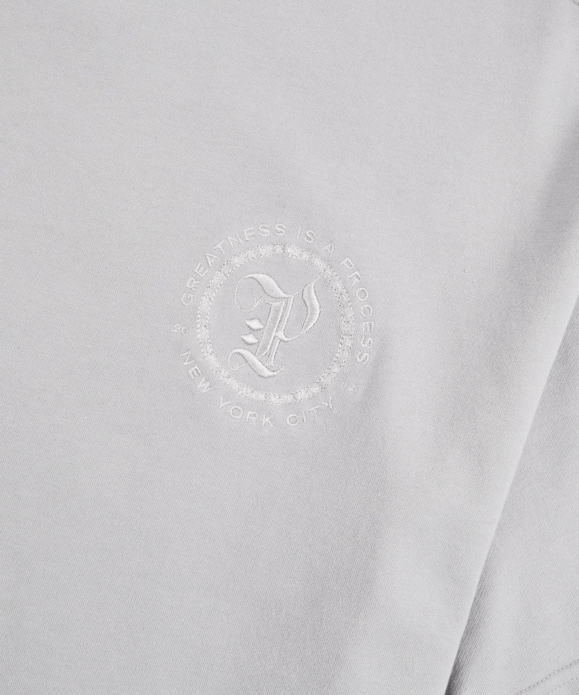 Planes Terry Washed Tee