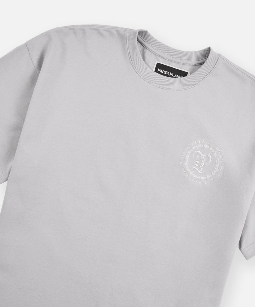 Planes Terry Washed Tee