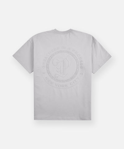 Planes Terry Washed Tee