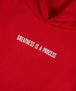 Greatness is a Process Heavyweight Hoodie