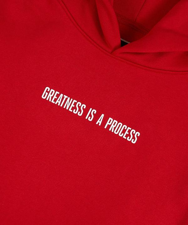 Greatness is a Process Heavyweight Hoodie