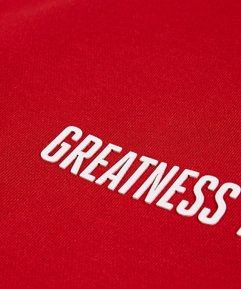 Greatness is a Process Heavyweight Hoodie