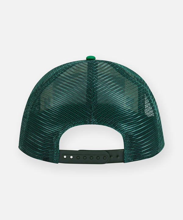 Planes New York Trucker