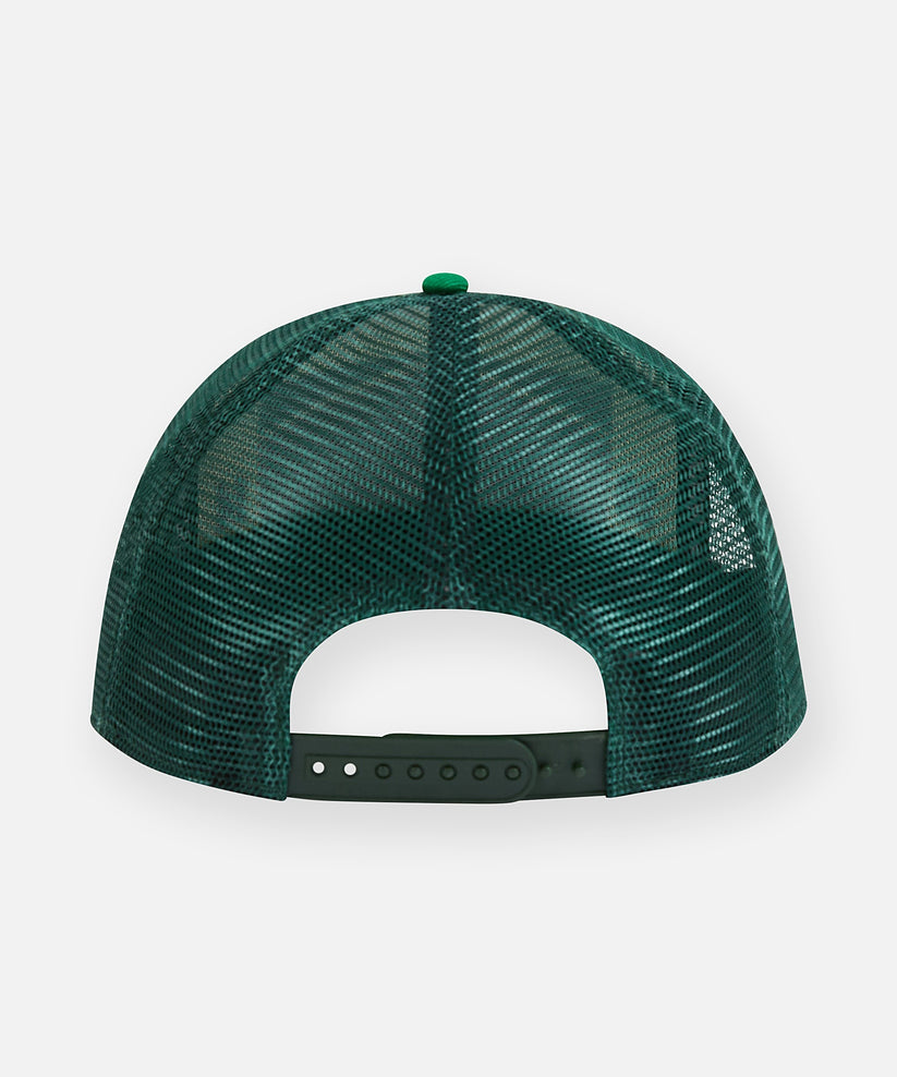 Planes New York Trucker