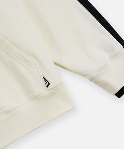 Planes Colorblock Hoodie