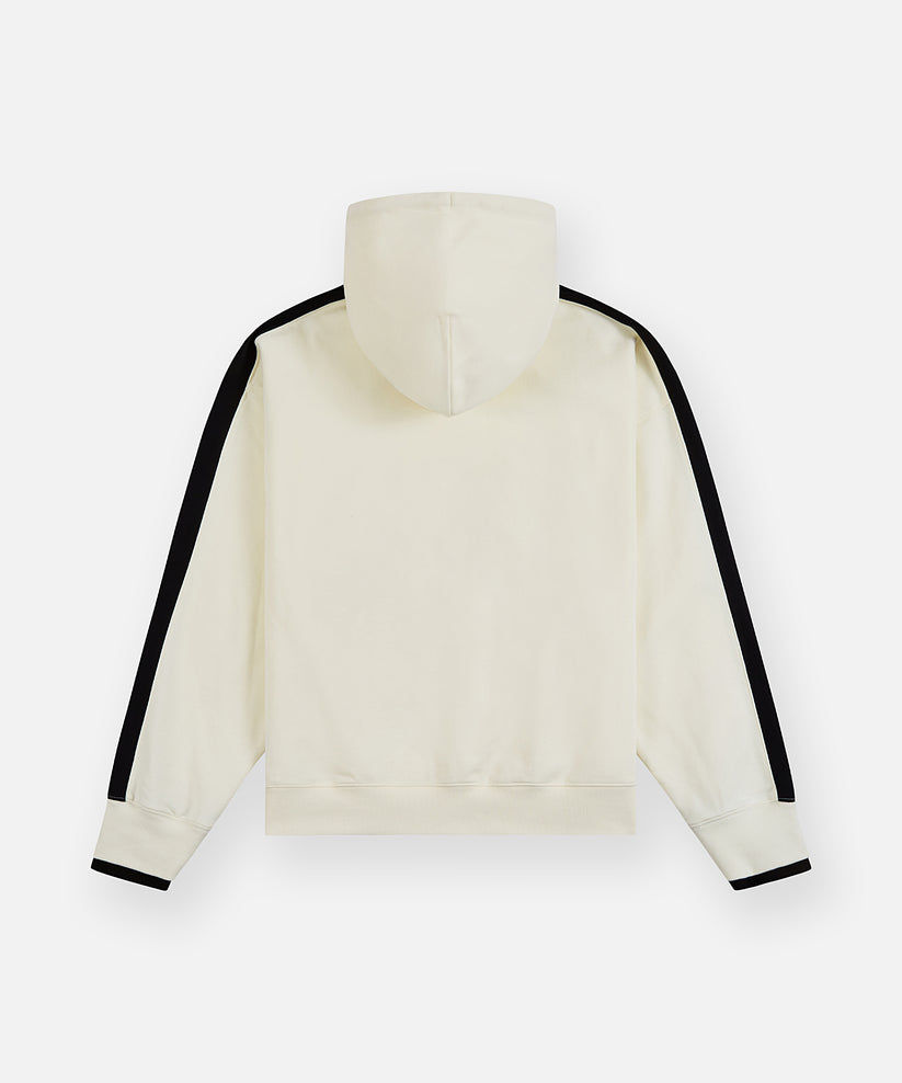 Planes Colorblock Hoodie