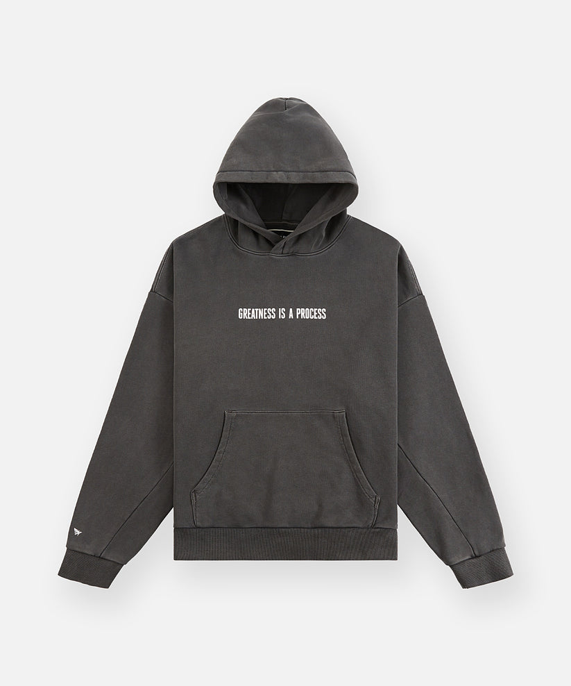 Greatness Is A Process Heavyweight Hoodie
