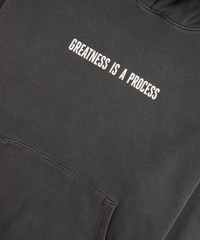 Greatness Is A Process Heavyweight Hoodie
