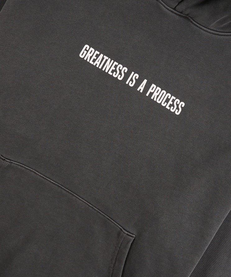 Greatness Is A Process Heavyweight Hoodie