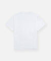 files/Paperplanes69a712997148b969a712997167b.6977400869a712997167b.jpg