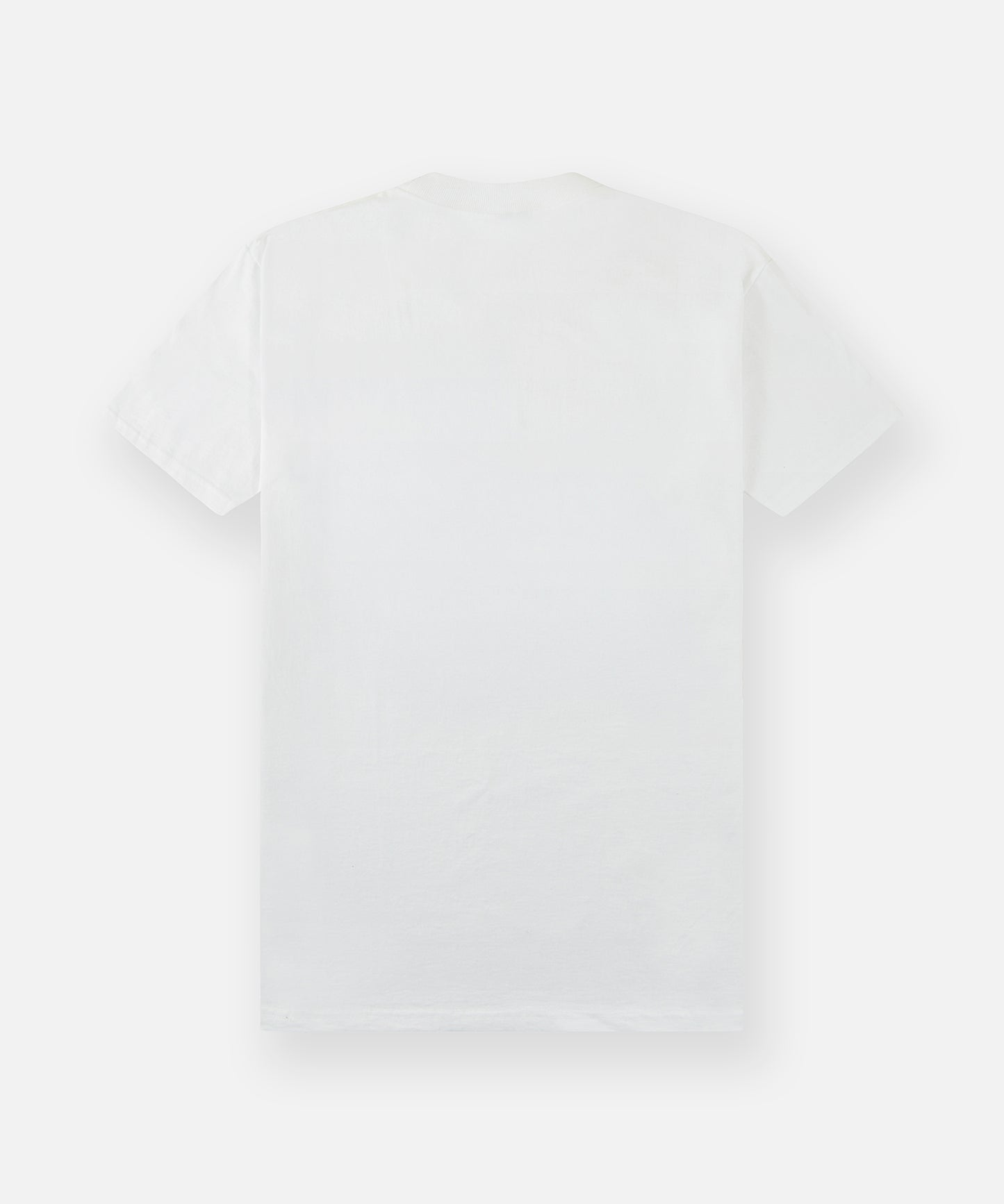 Planes PR Flag Tee