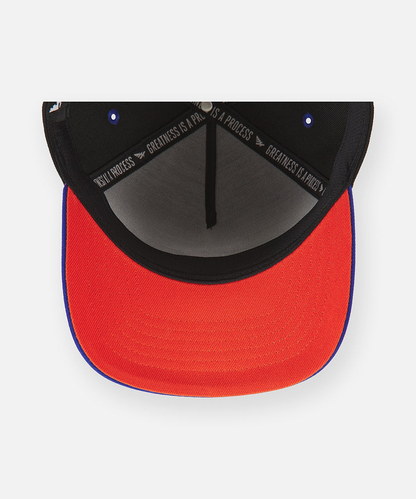 Planes B-Side New York Hat
