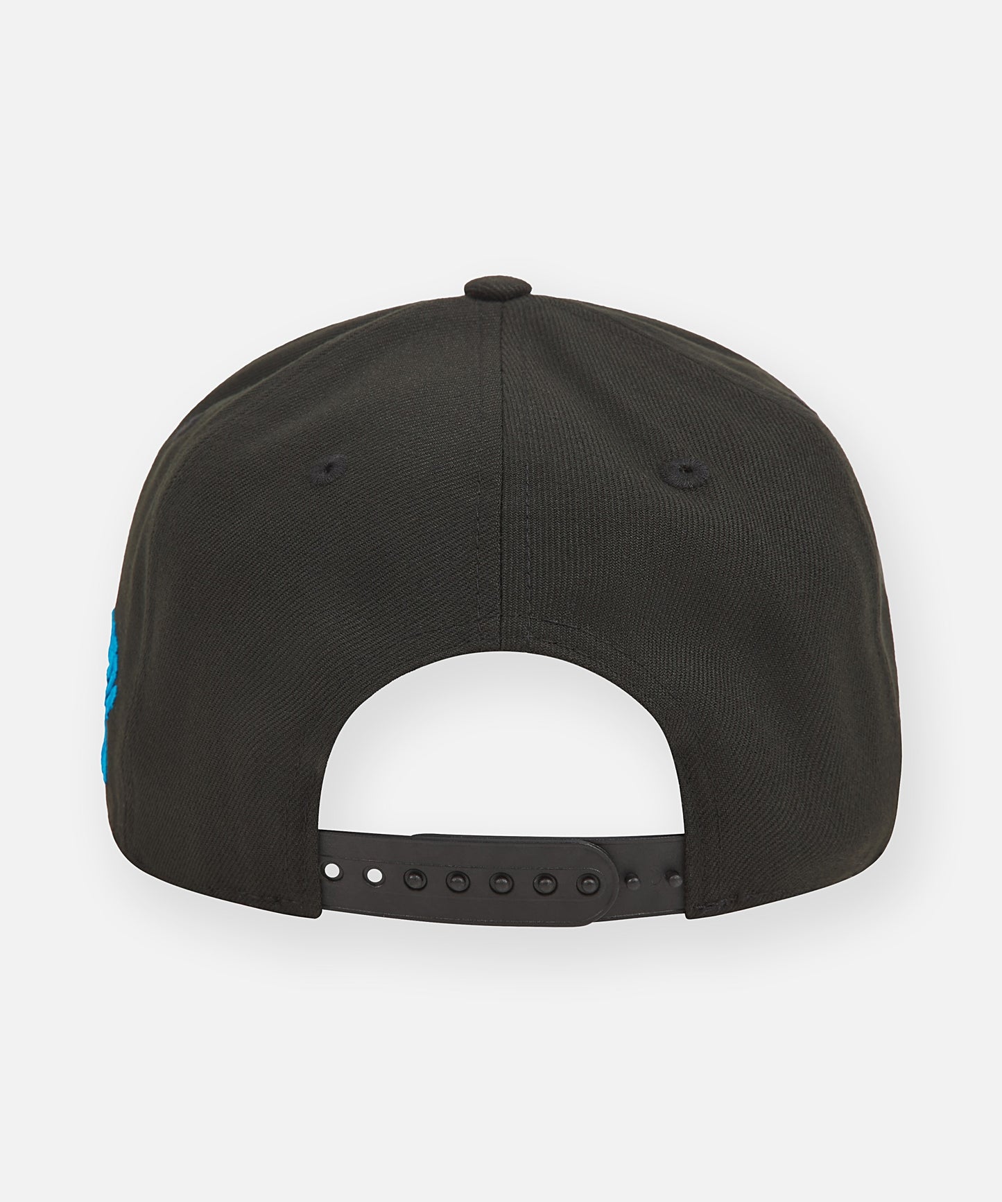 Charlotte Snapback