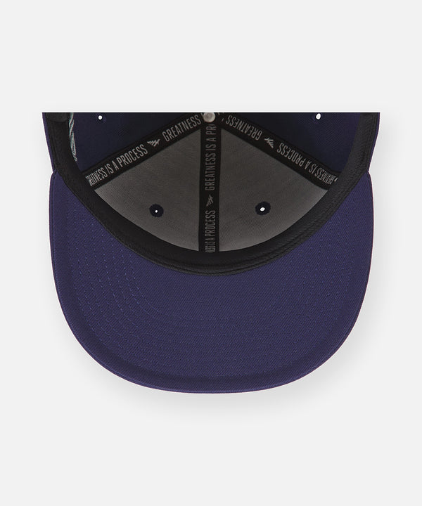San Diego Snapback