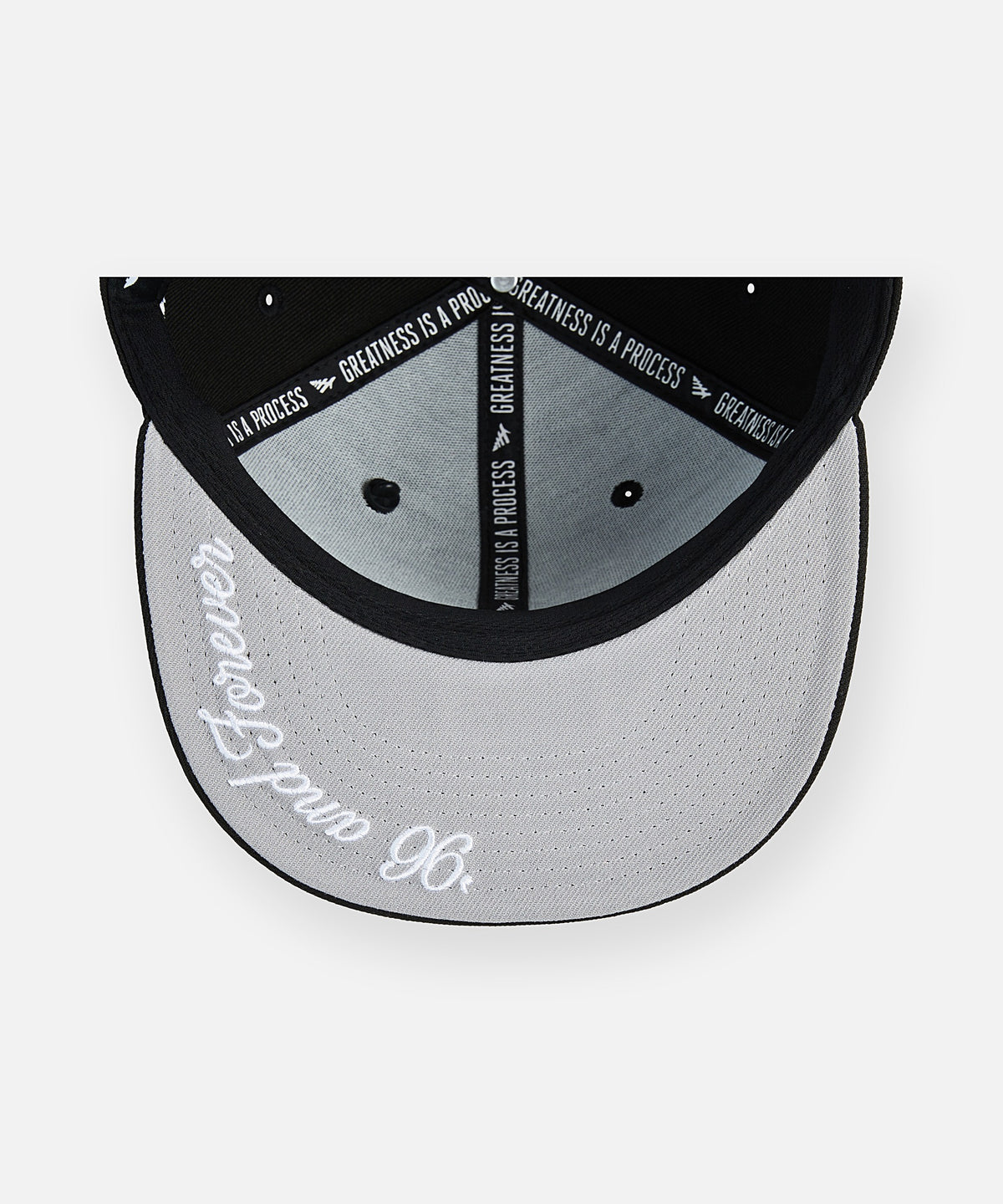 JAŸ-Z30 x Planes SoFi Snapback